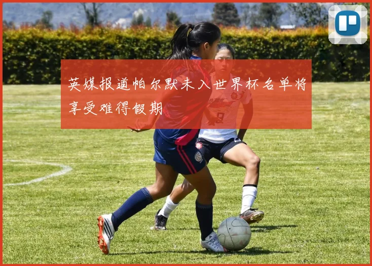 英媒报道帕尔默未入世界杯名单将享受难得假期
